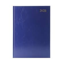 2025 A4 Page a day Diary