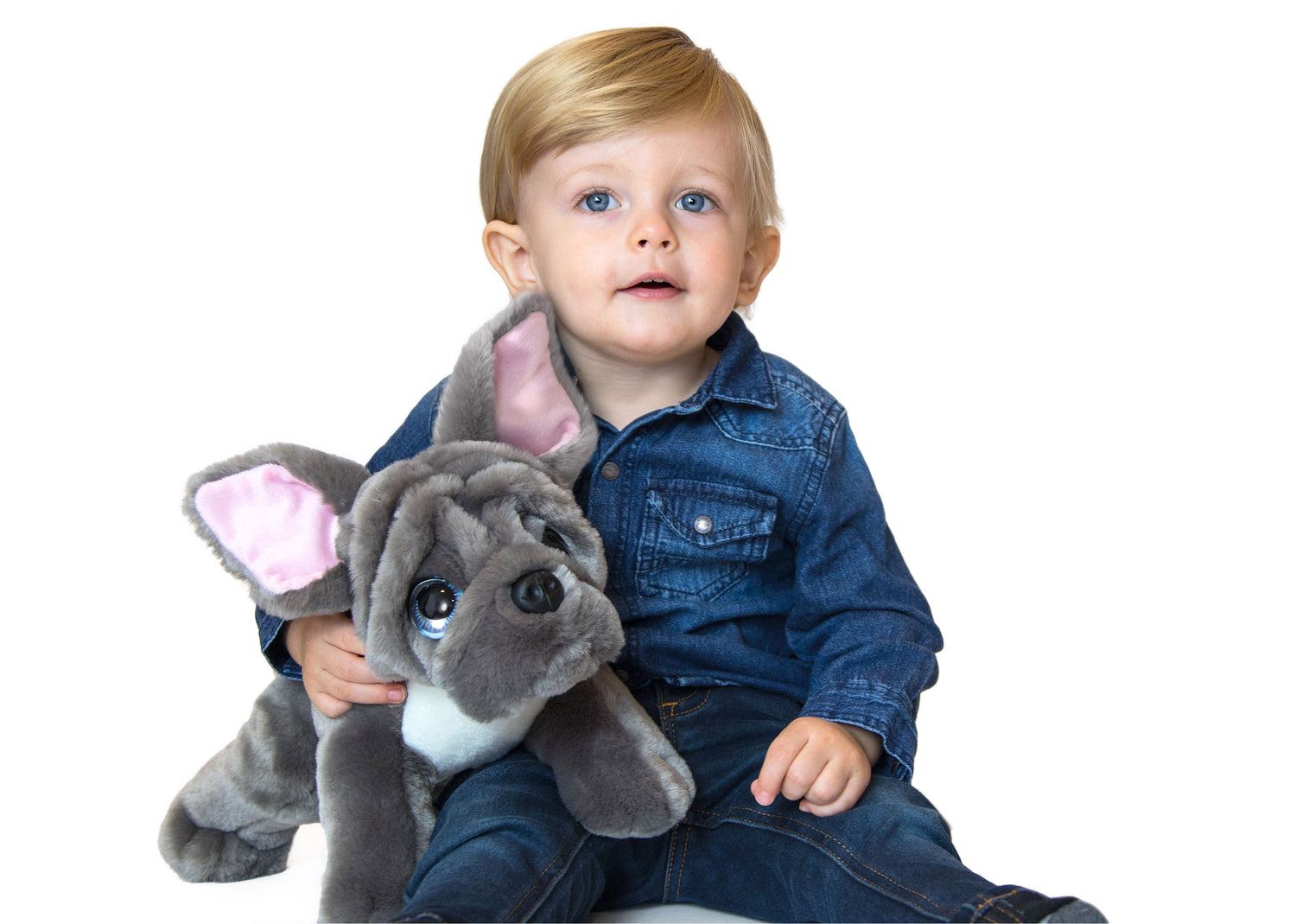 Cuddly Toys