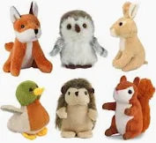 Forest Animals